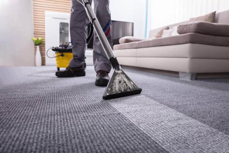 Professional carpet and rug cleaning service