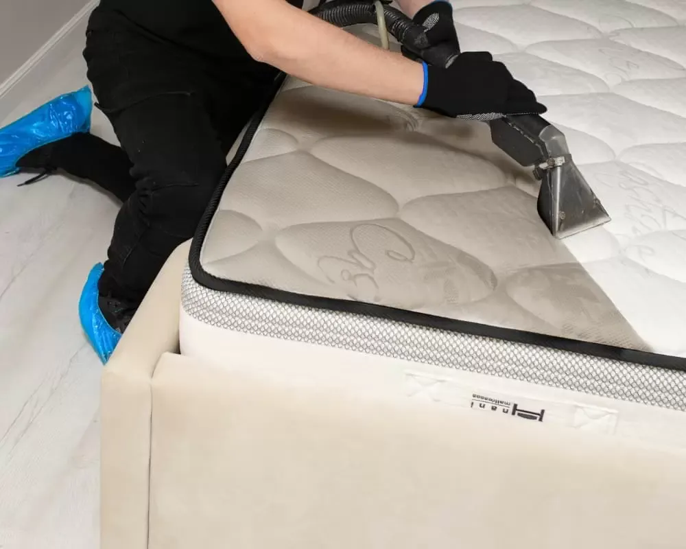 How Often Should You Change Your Mattress and Maximize Its Lifespan