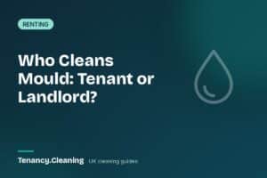 Is It the Tenant's Responsibility to Clean Mould? UK Rules