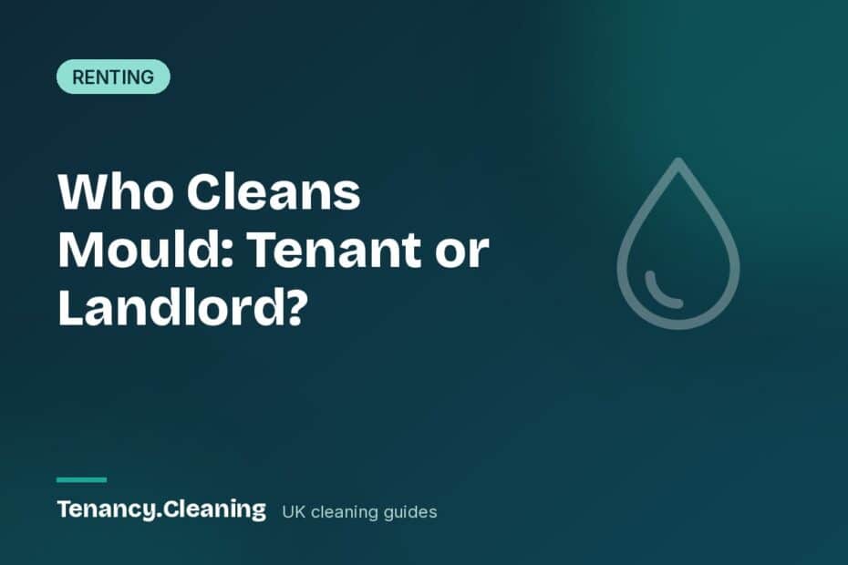 Who Cleans Mould: Tenant or Landlord?