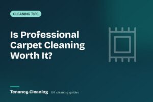 Is Professional Carpet Cleaning Worth It? Carpets and Windows