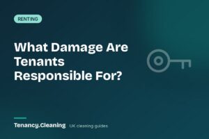 What Types of Damage Are Tenants Responsible For?